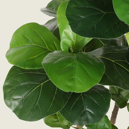 Fiddle Leaf Fig Tree Artificial with Tall Exquisite Planter | Faux Fiddle 6ft