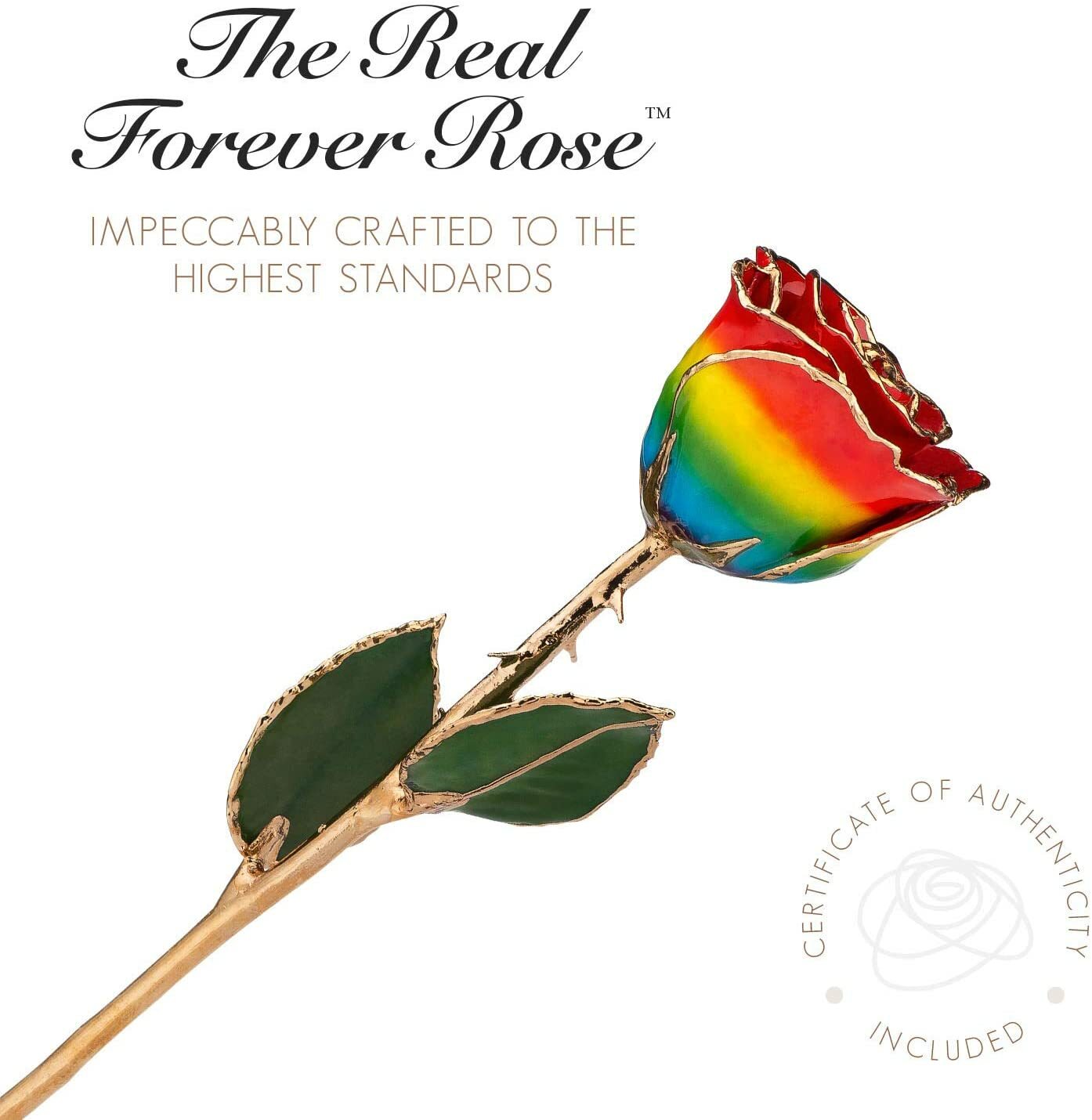 Forever Rose Genuine Real Rainbow Rose, Hand Dipped and Trimmed in 24K Gold