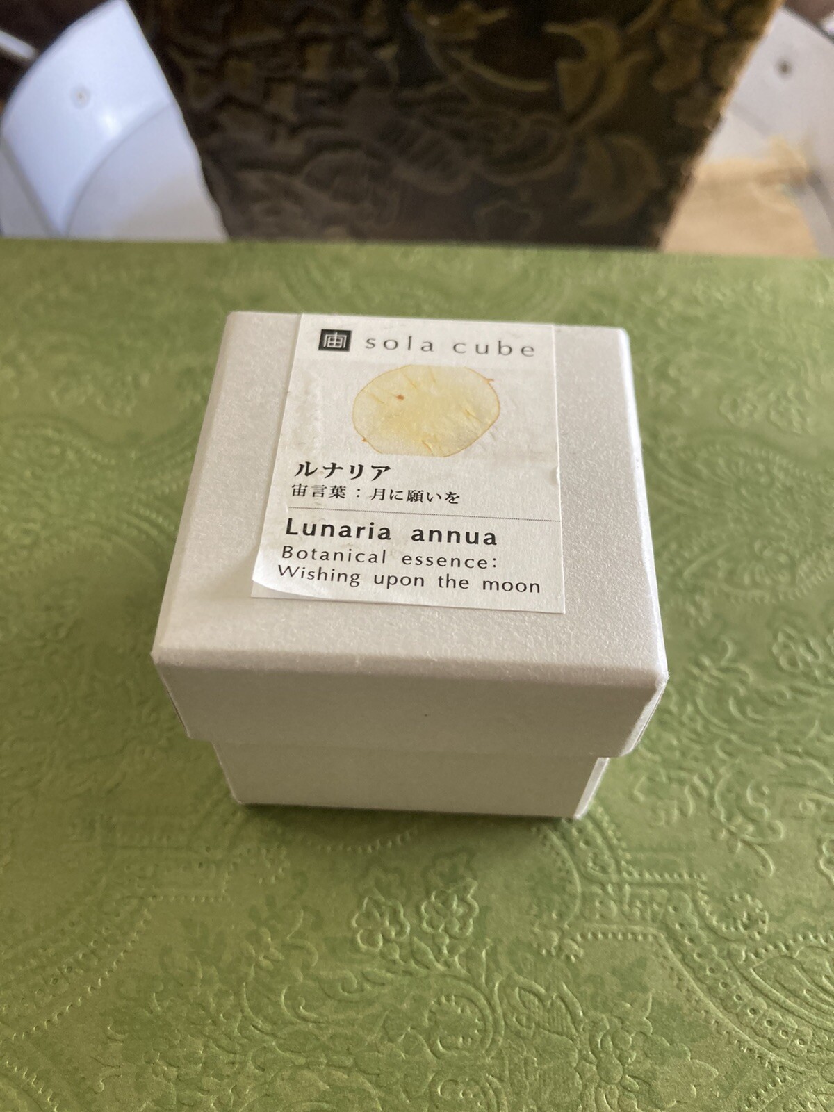sola cube LUNARIA ANNUA 5cm square Dandelion acrylic resin dried flower japan