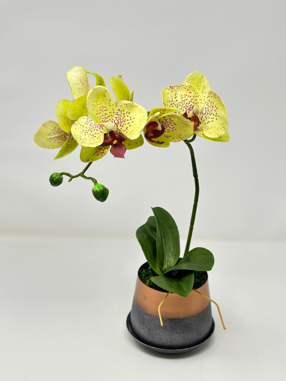 14″ Potted Yellow PHALAENOPSIS ORCHID faux Silk flower plant in copper metal pot