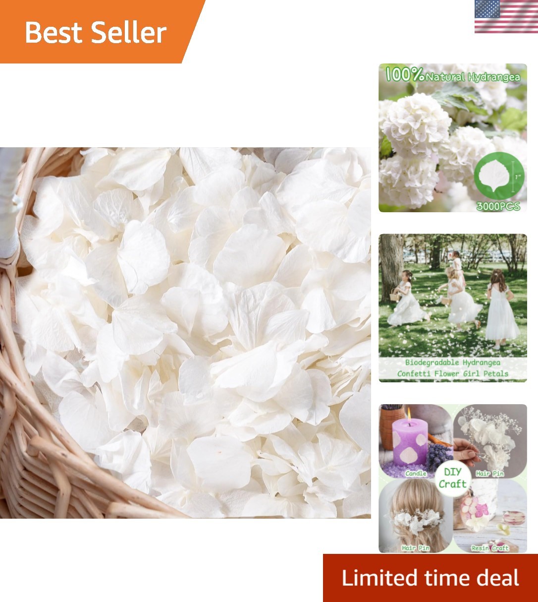3000+Pcs Real Ivory White Dried Hydrangea Flower Petals – 100% Natural Creamy…