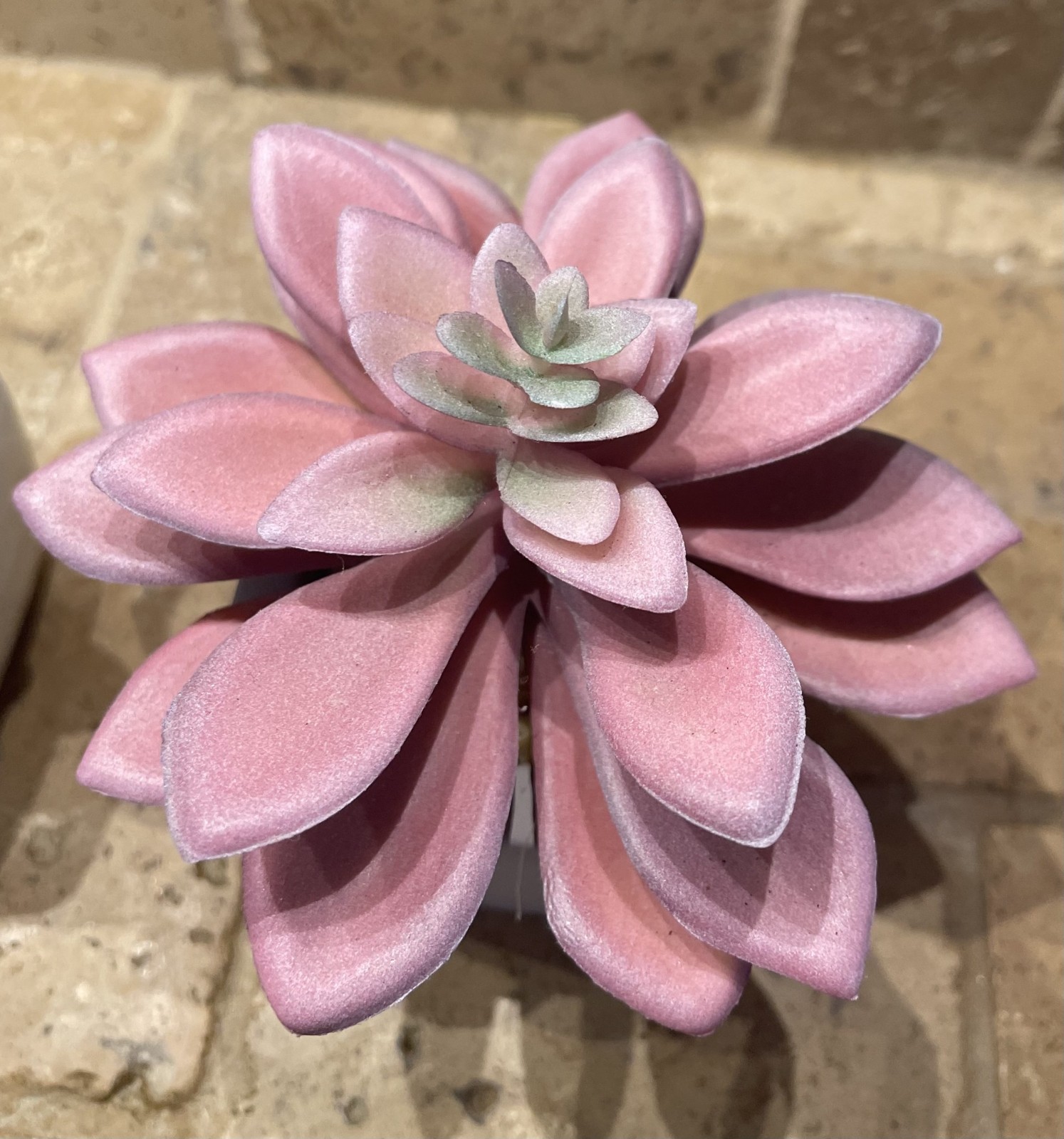 Lot of 5 artificial succulents in small white ceramic pots