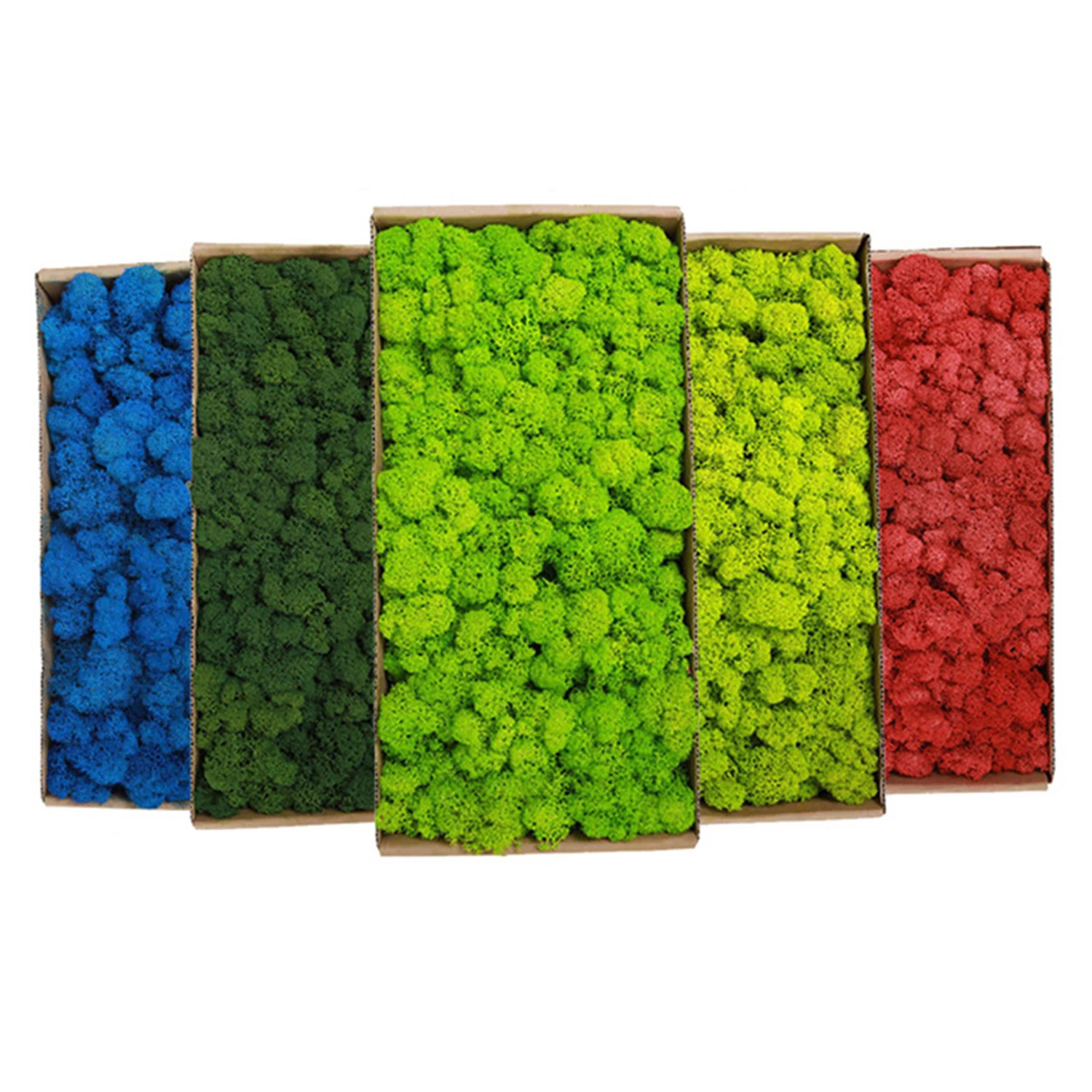 20g/200g Natural Green Colored Moss Simulation Plants Eternal Life Moss Garden H