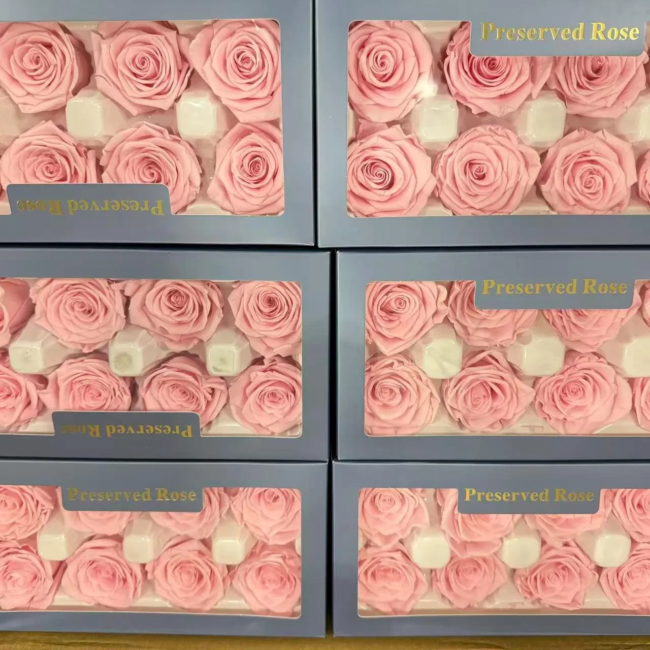 8 Preserved Pink Roses Real Eternal Flowers DIY Crafts Wedding Gift Decor