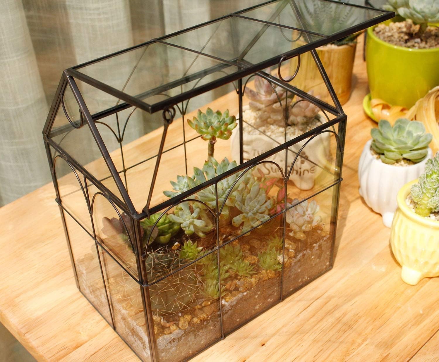 Glass House Geometric Terrarium for Plants