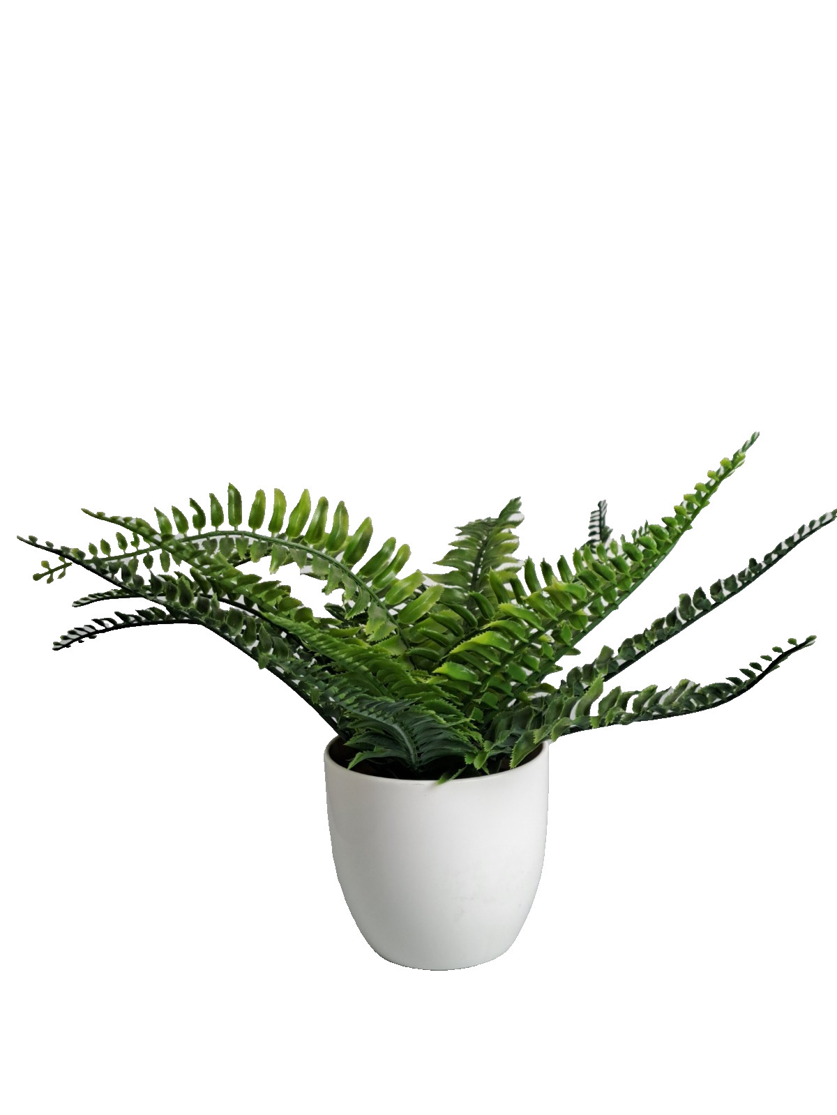 Artificial Decorative Faux Boston Fern 4″ Potted Plant