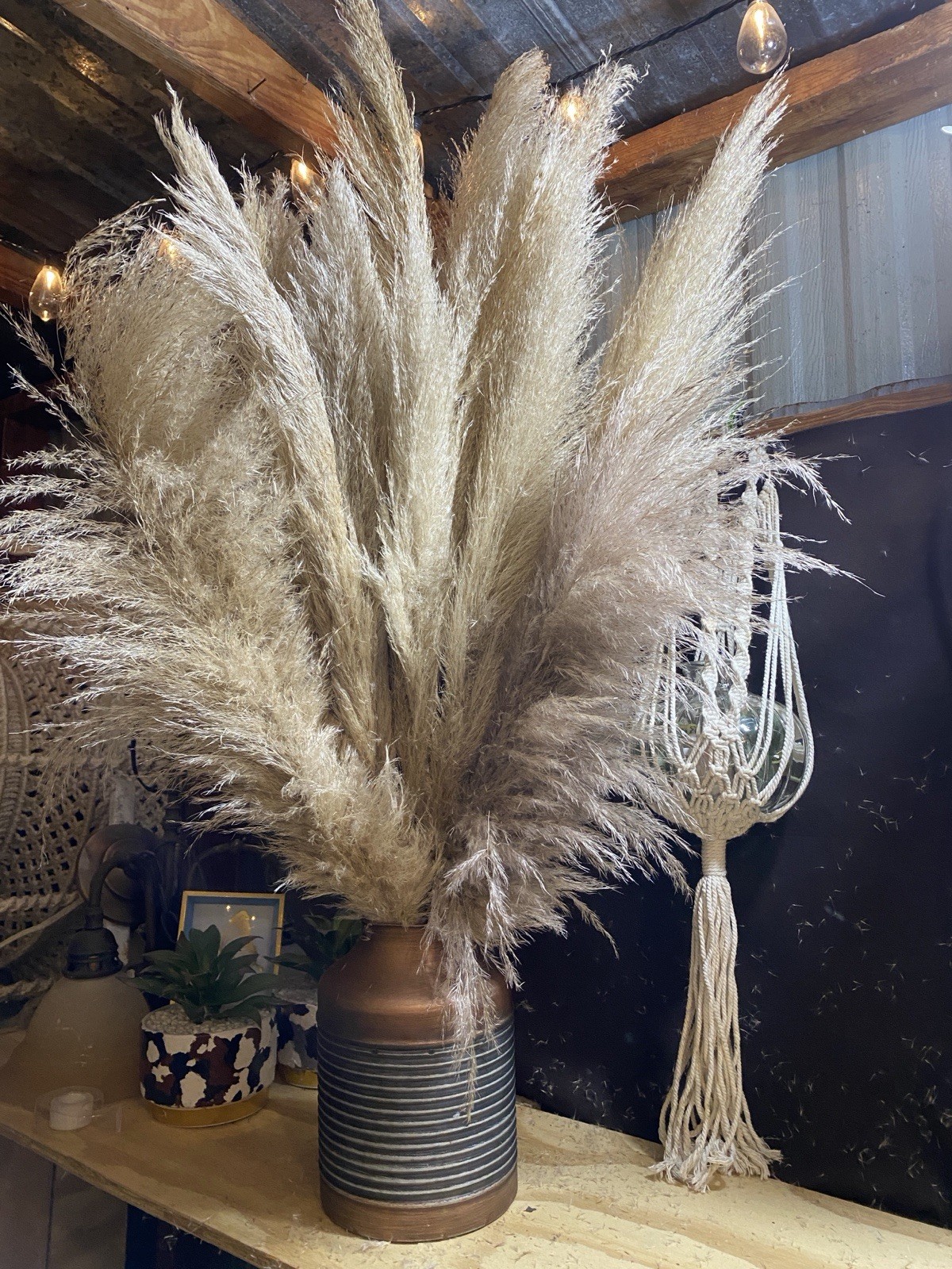 Pampas Grass Dried Stems 10-Pack, 40″ Natural Decor for Floor Vase