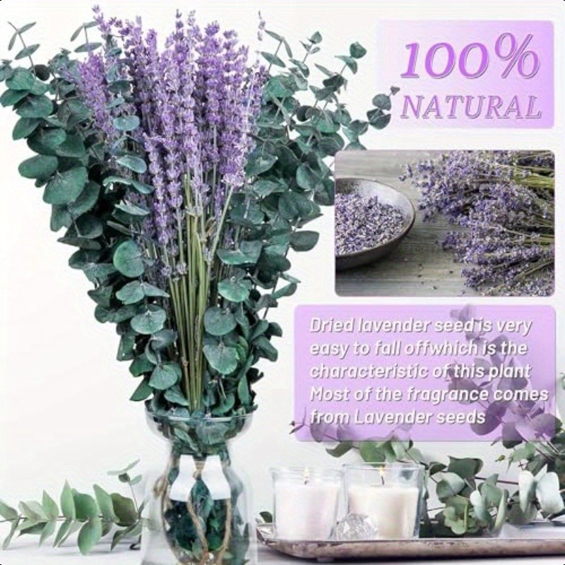 17” Natural Real Dried Eucalyptus Stems & Lavender Flowers Bundle for Shower