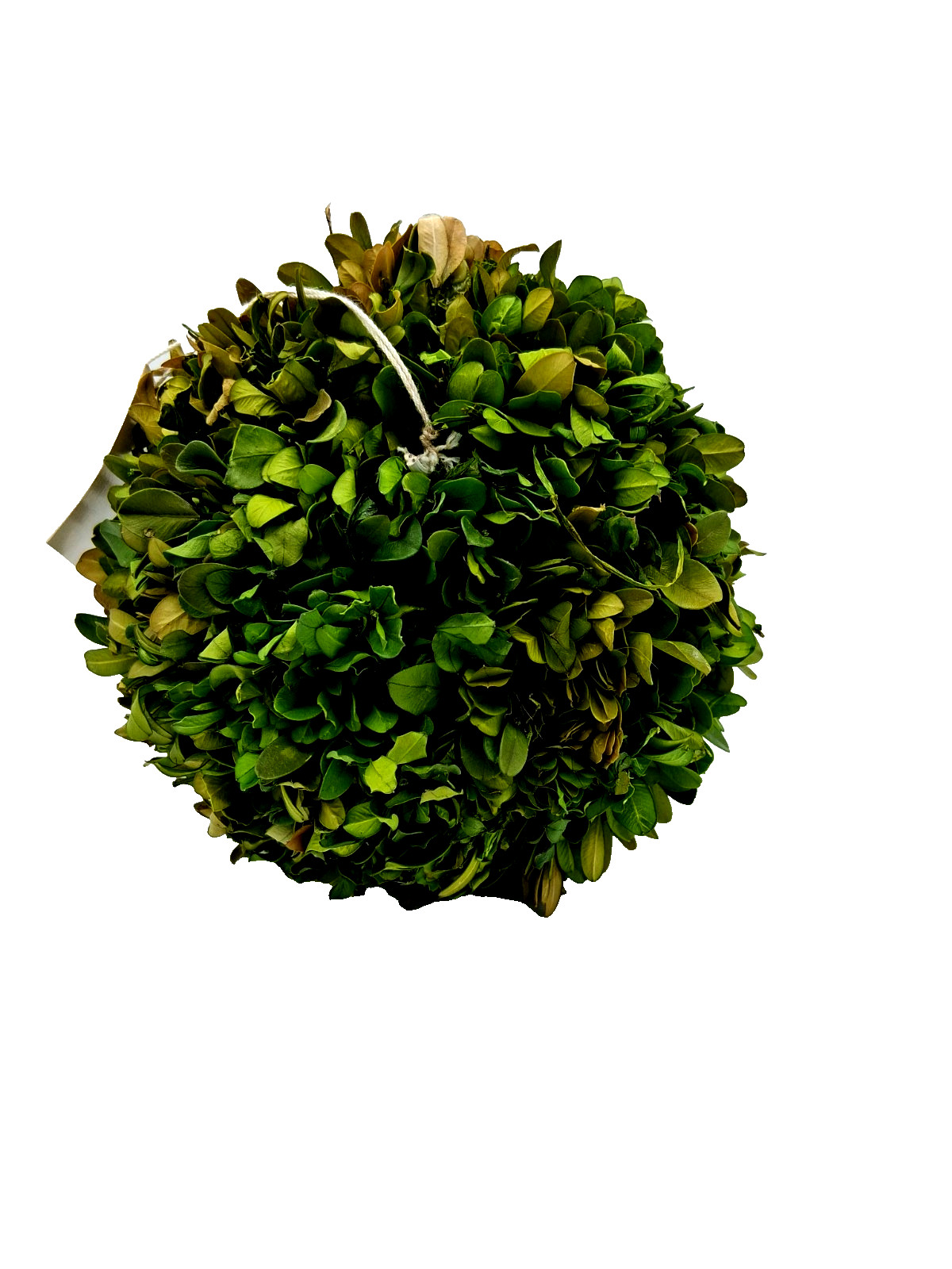 Decorative Permanent Botanicall Boxwood 7-inch Topiary Ball