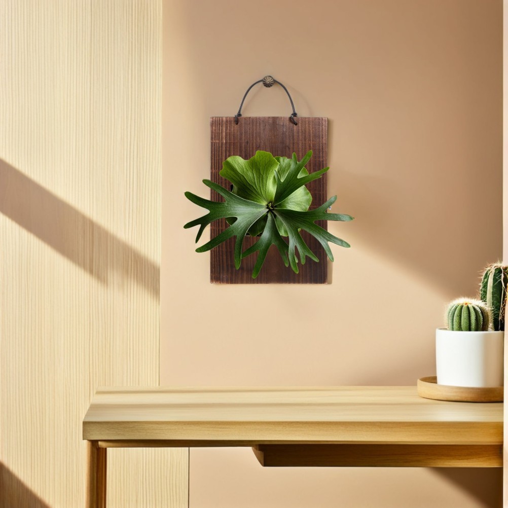 Fern Mounting Board: Wood Vertical Planting Board, Hanging Plant