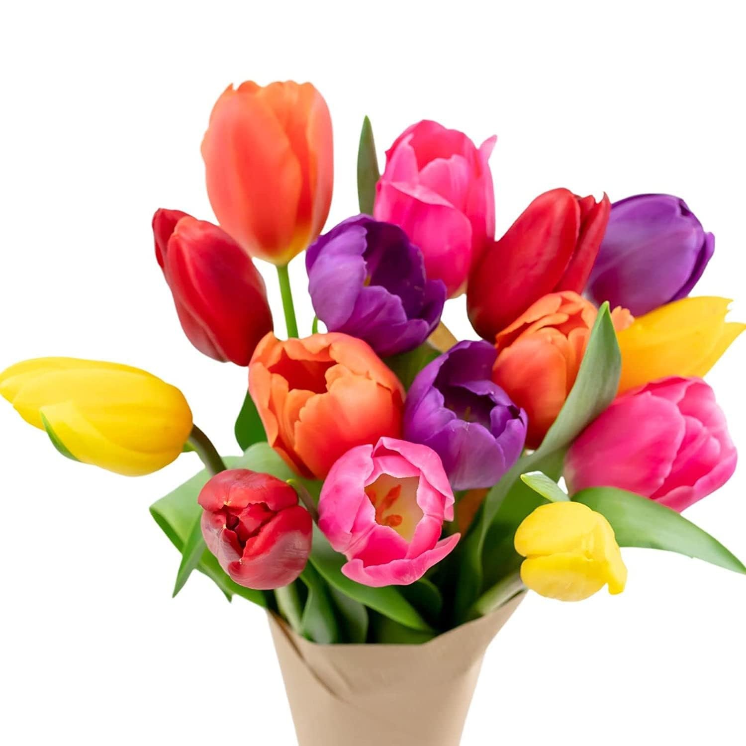 15 Stem Rainbow Tulip Bouquet Fresh Cut Flowers USA Gift Birthday Anniversary Ho