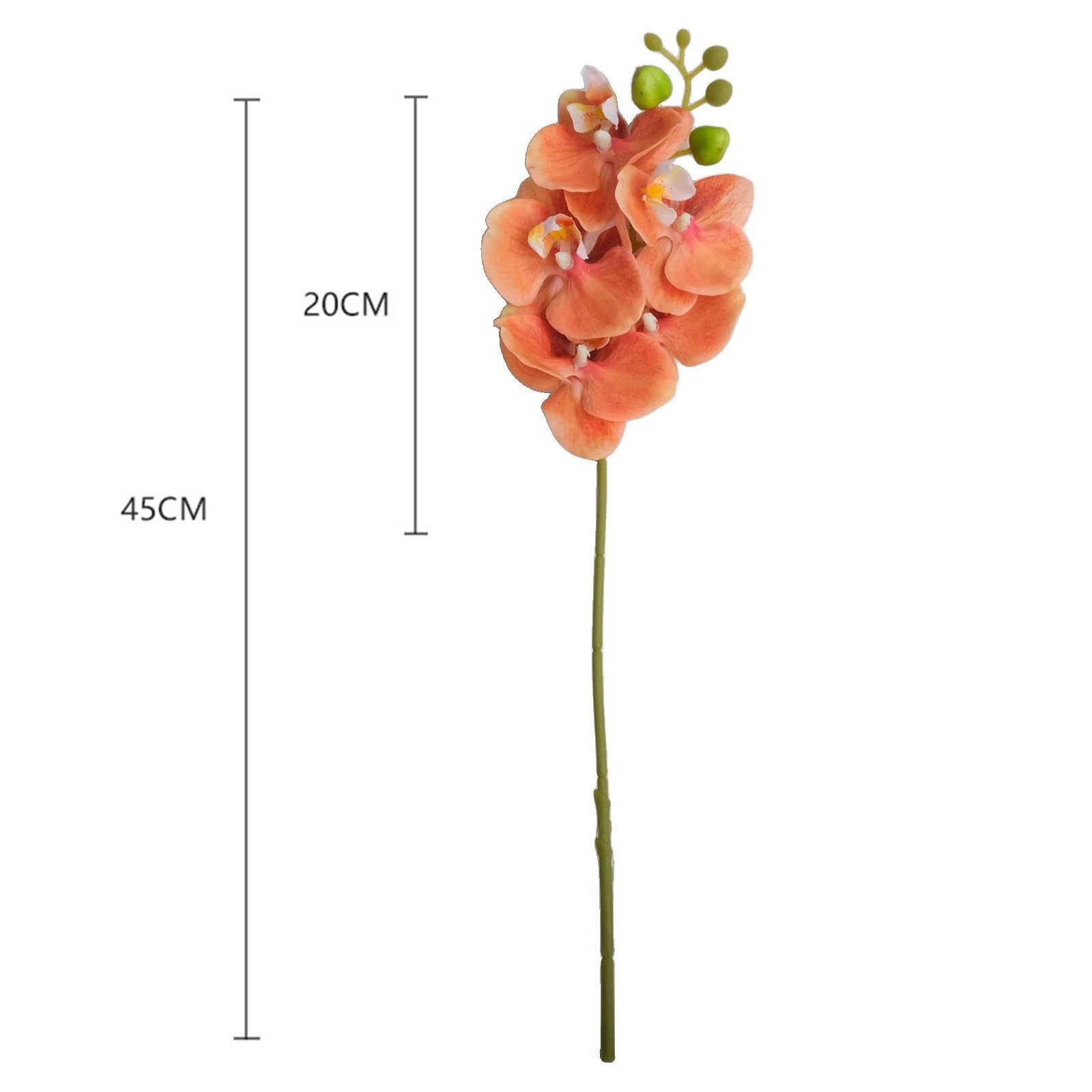 Lifelike Flowers Phalaenopsis Orchid Garden Decor Home Decor DIY Decoration