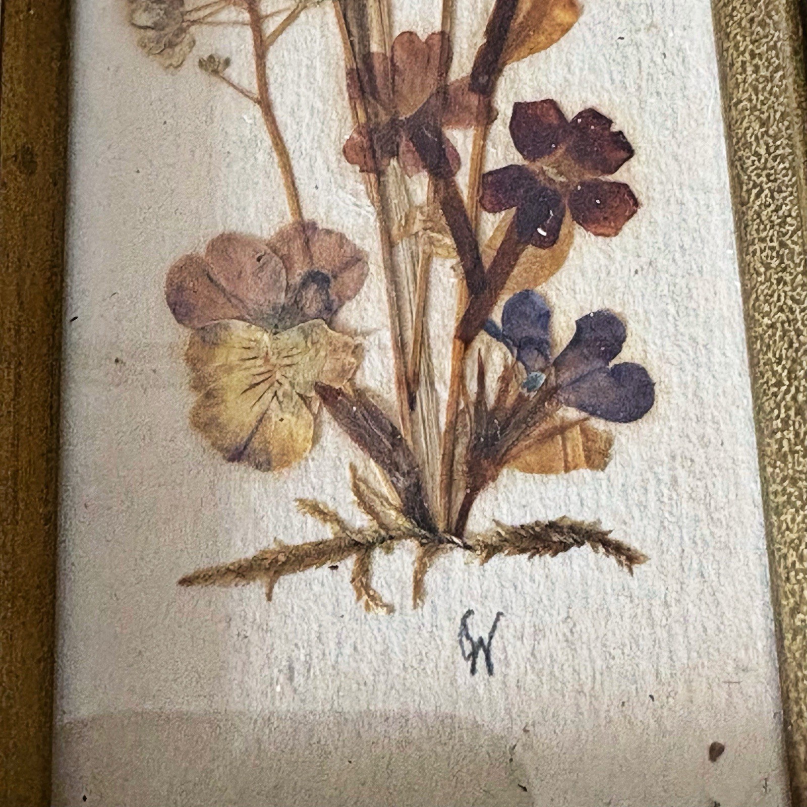 Set Vintage Pressed Flower Framed East Germany 7.5”x2.75” Cottage Core Signed