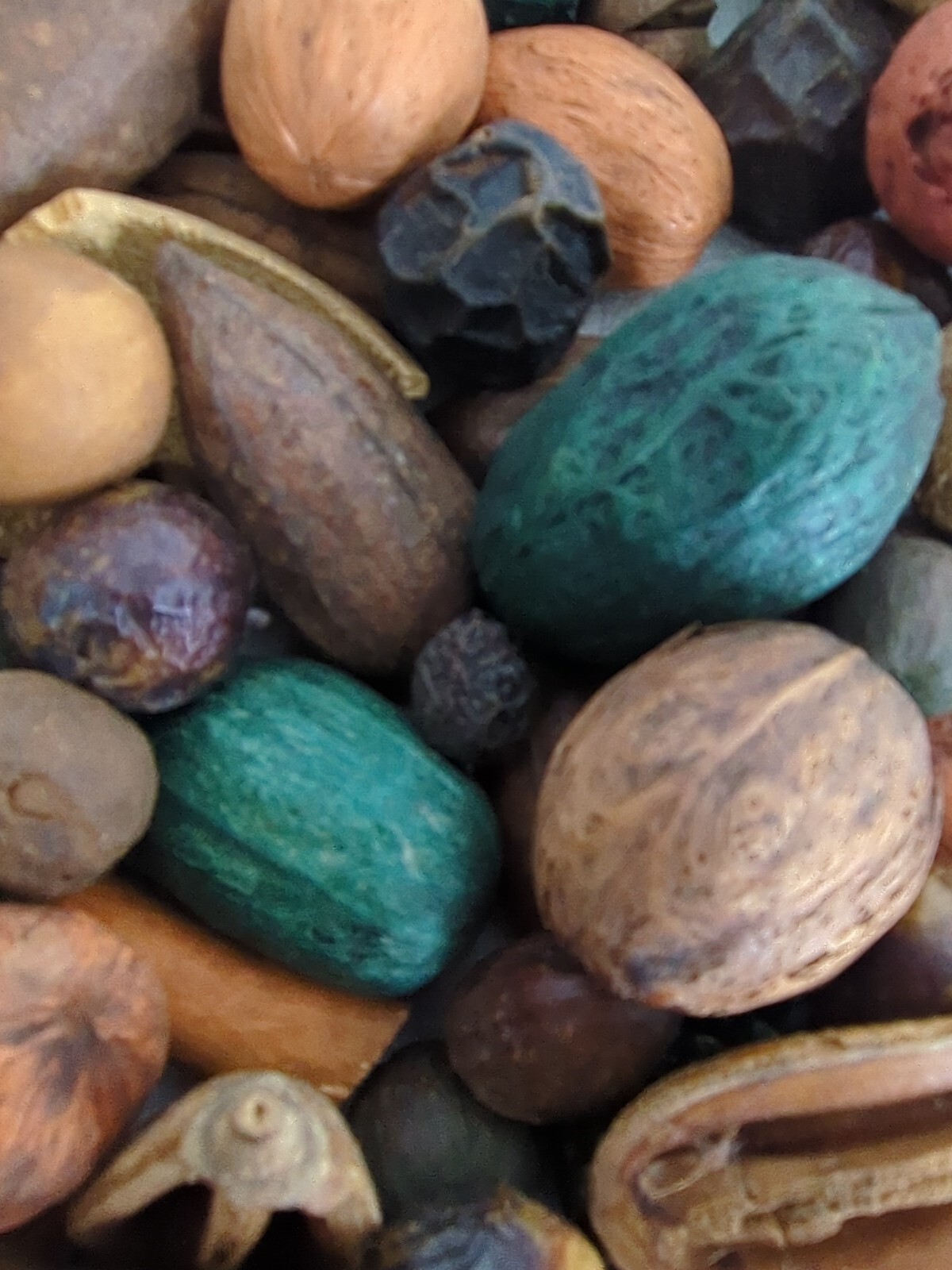 Dried Pods Bamboo Seeds Coconut Husk Table Scatter Crafts Wreaths Vase Filler