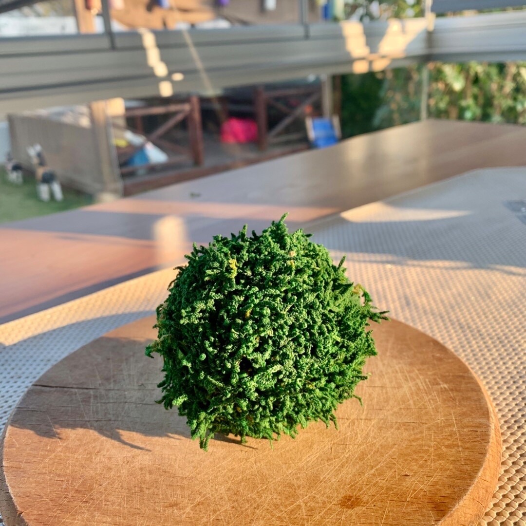 Handmade Green Ball Preserved Moss Nature Art 3 inches Decoration Ball