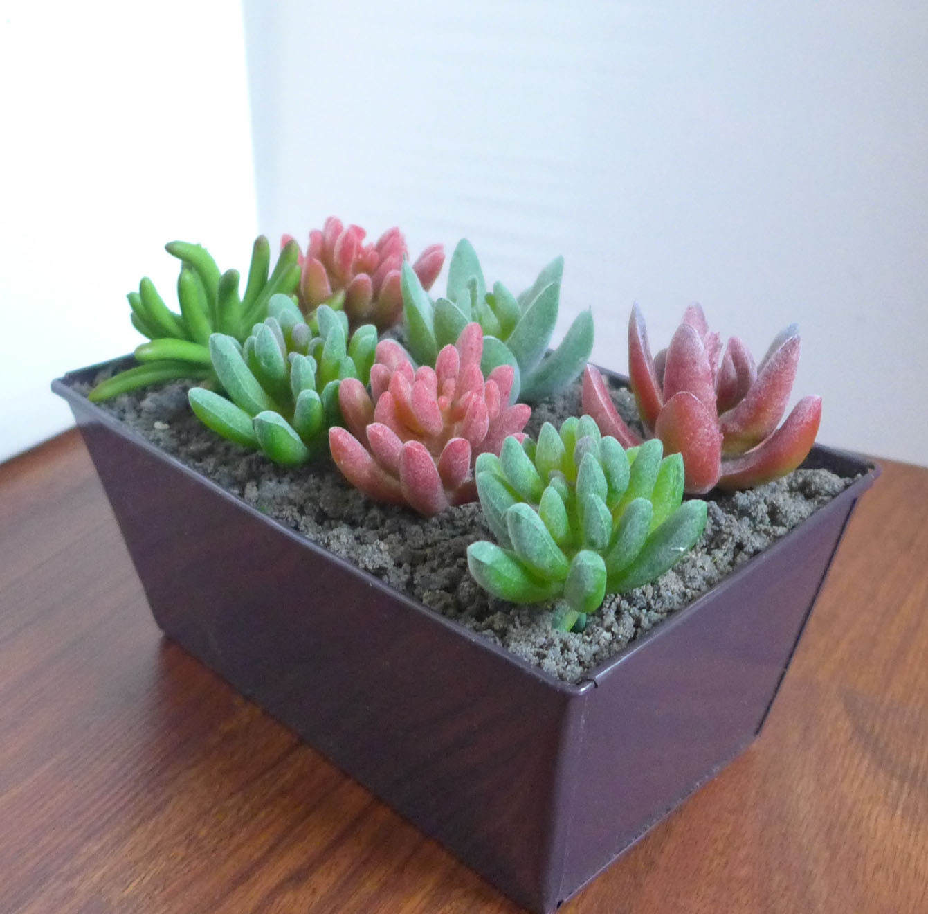 Set of 7 Artificial Flocking Mini Succulents Grass Landscape