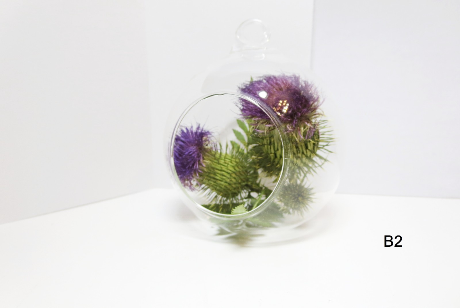 Scottish Thistle décoration Thistle décor The Flower of Scotland gift