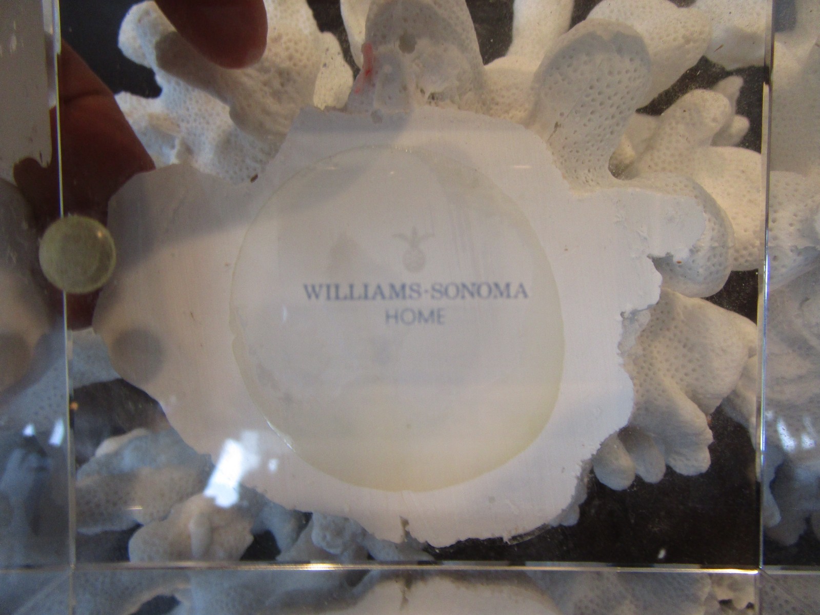 Williams Sonoma Resin Quartz cluster sculpture on glass base beach shell GUC