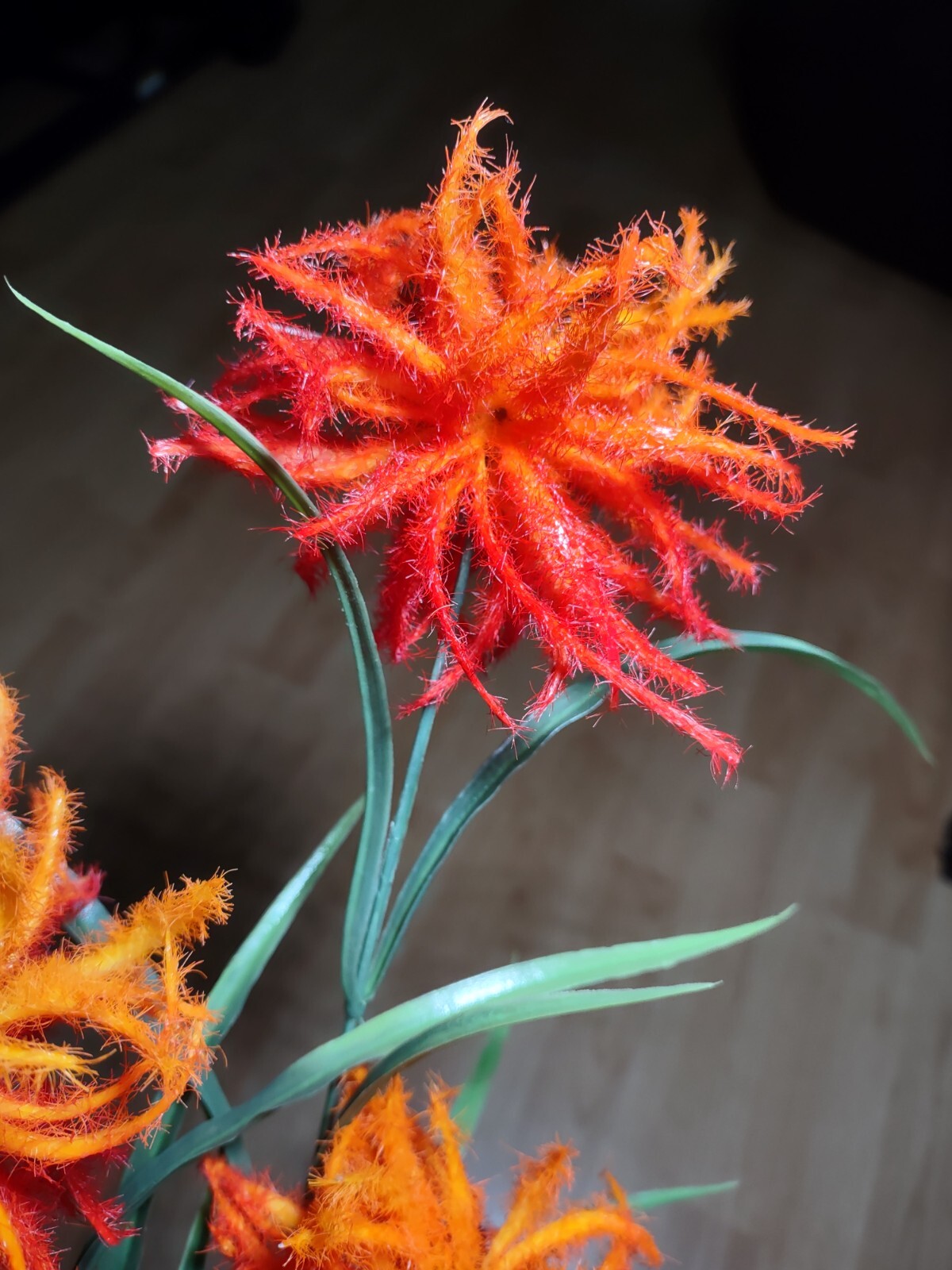 Wildflower tropical floral stem. Hawaiian Flowers. Tropical Flowers