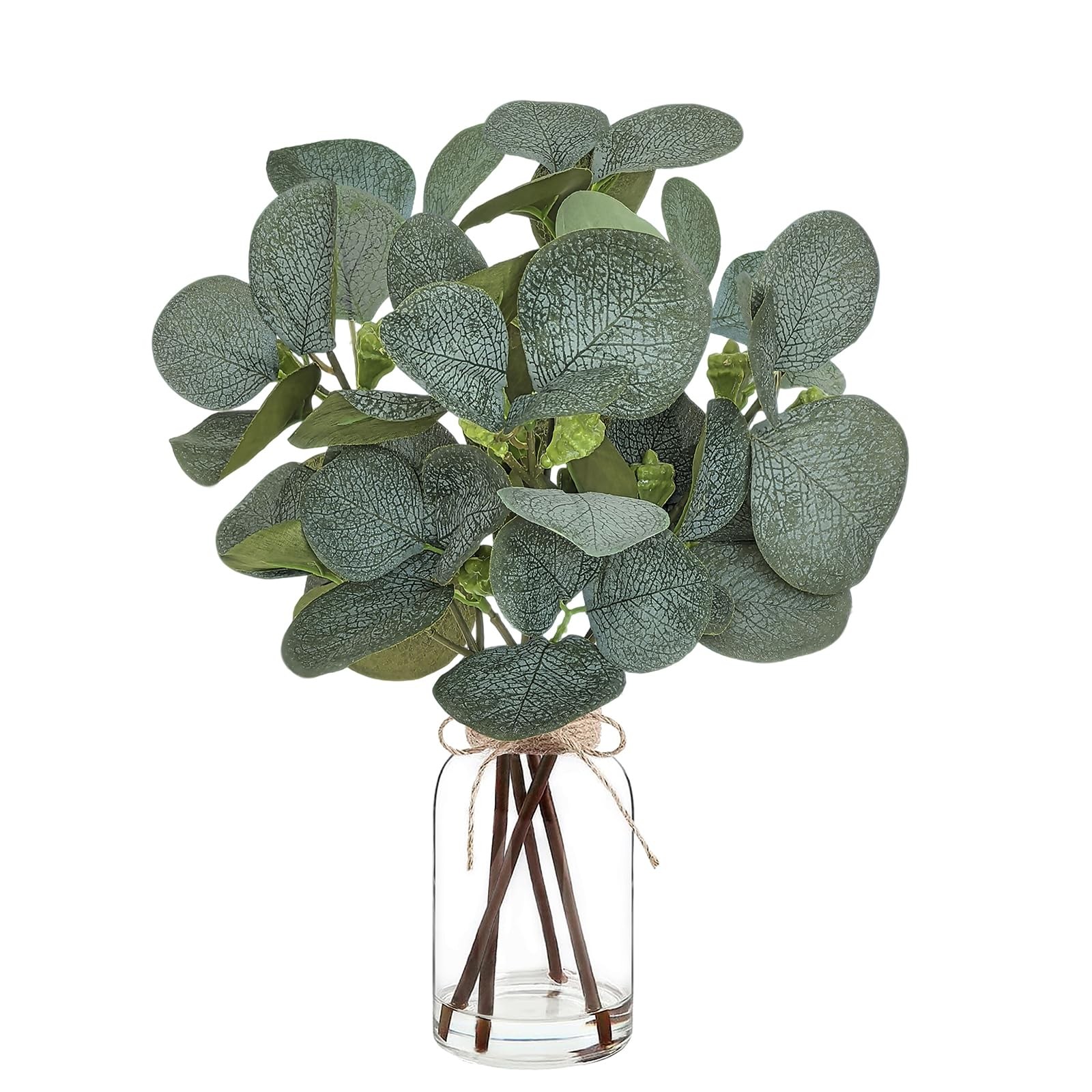 Eucalyptus Stems in Glass Vase with Faux Water for Home Decor and Centerpieces