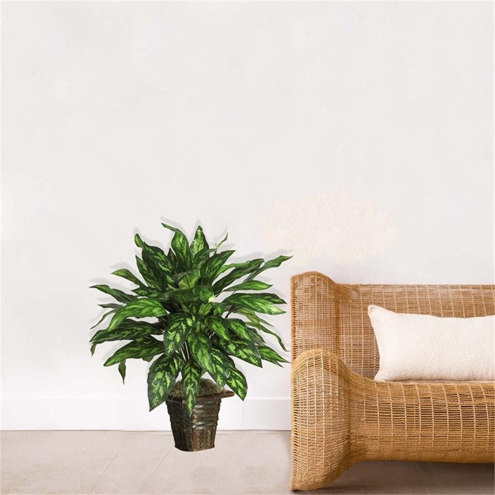 Pemberly Row Silver King with Basket Silk Plant in Green/Brown