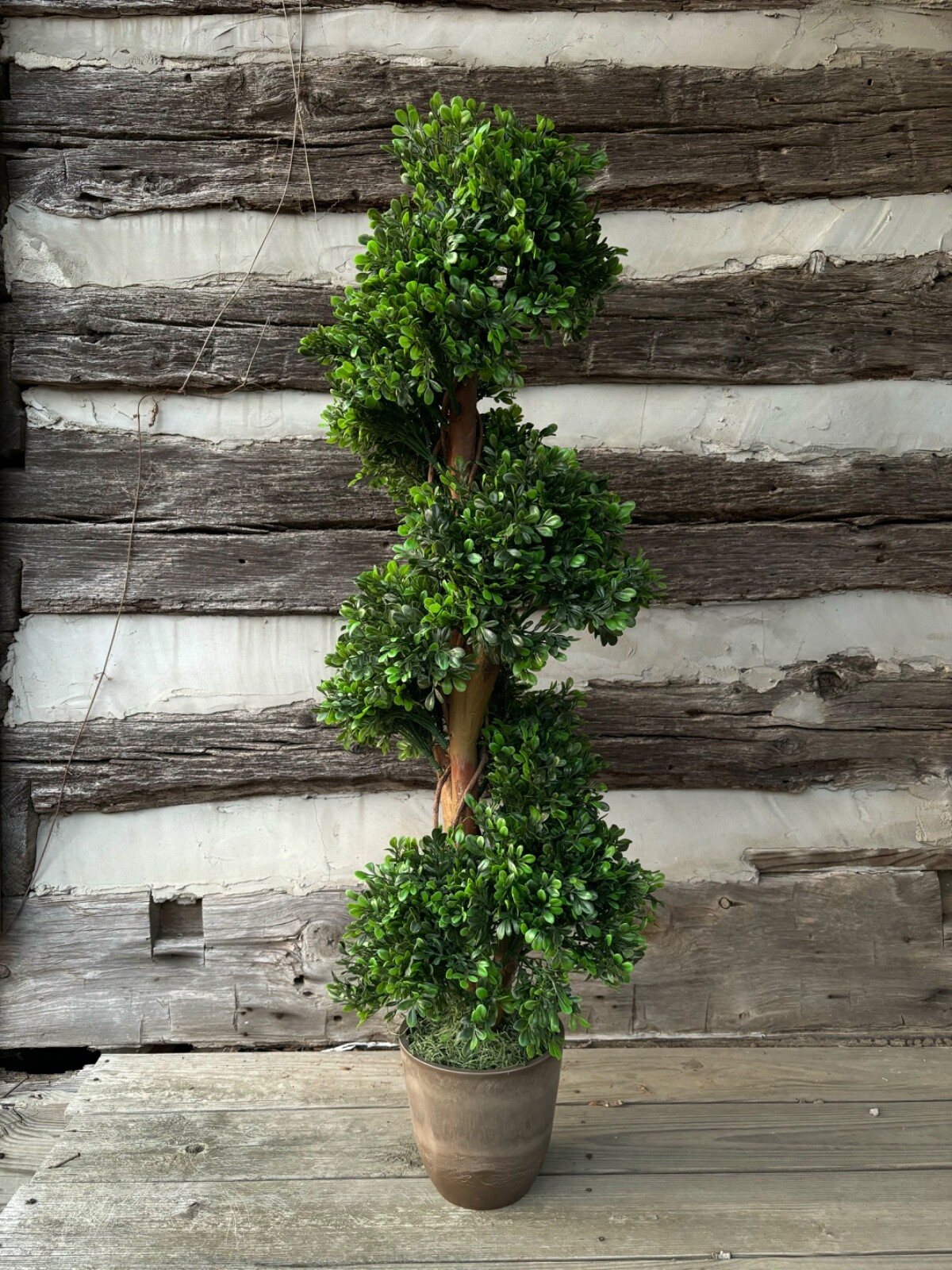 Wildwood & Cypress 48” Realistic Spiral Topiary Boxwood Tree Outdoor Use Faux