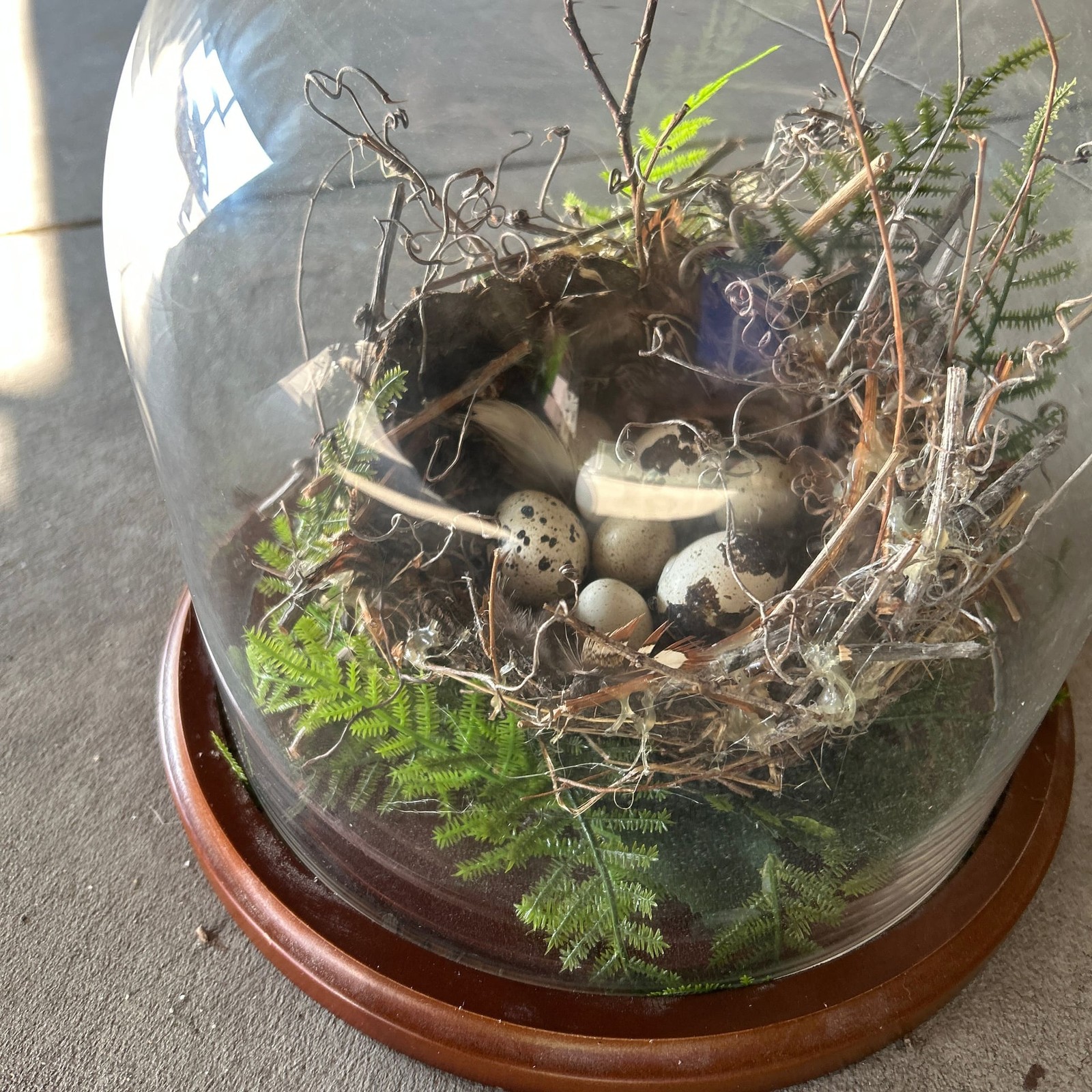 Handcrafted Bird Nest Terrarium Cloche with Faux Speckled Eggs and Forest Greene