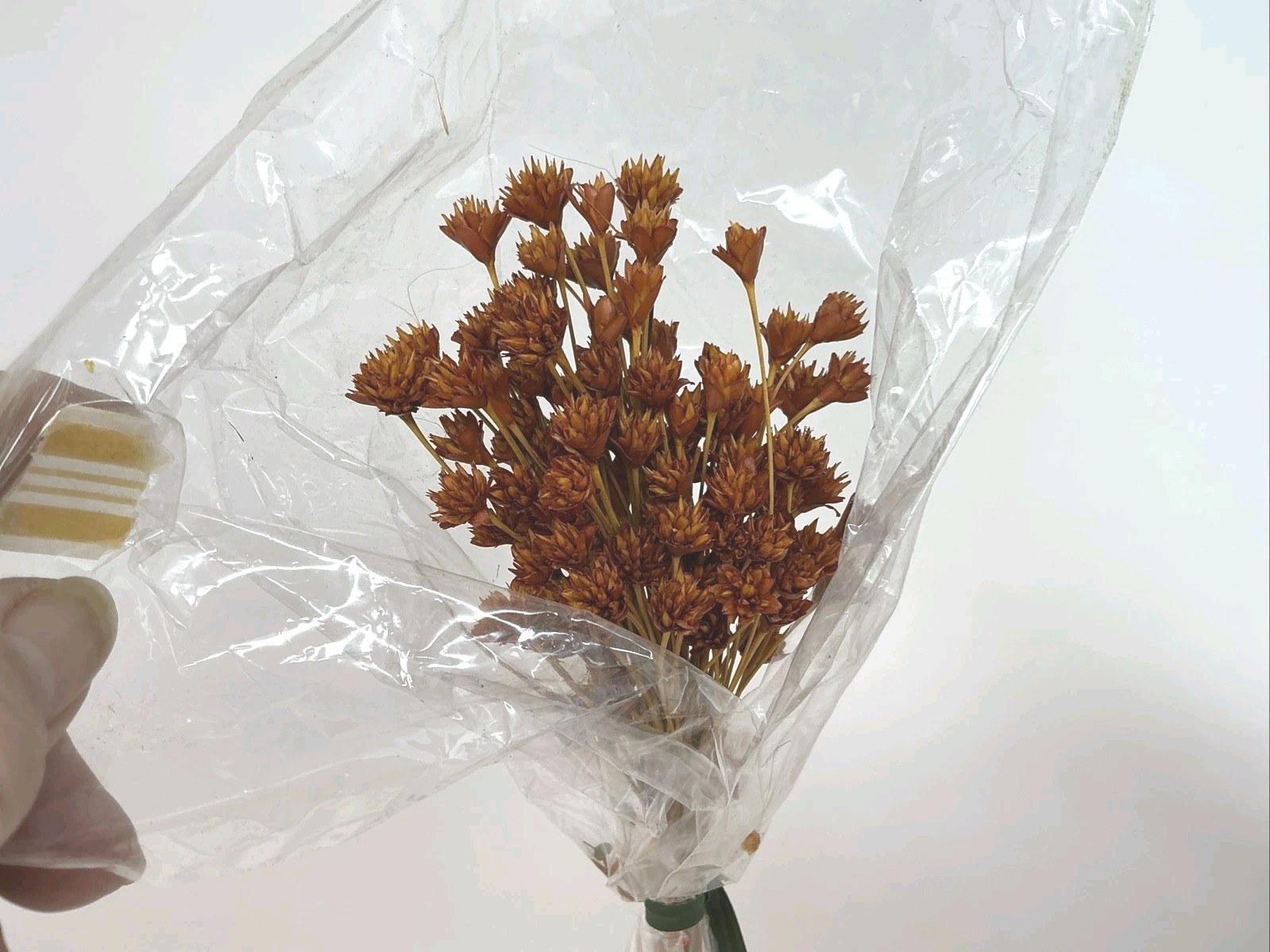 Vintage Dried Flower Bunches Lot of 8 Bunches 12″ – 30” L Crafts Floral Bouquets