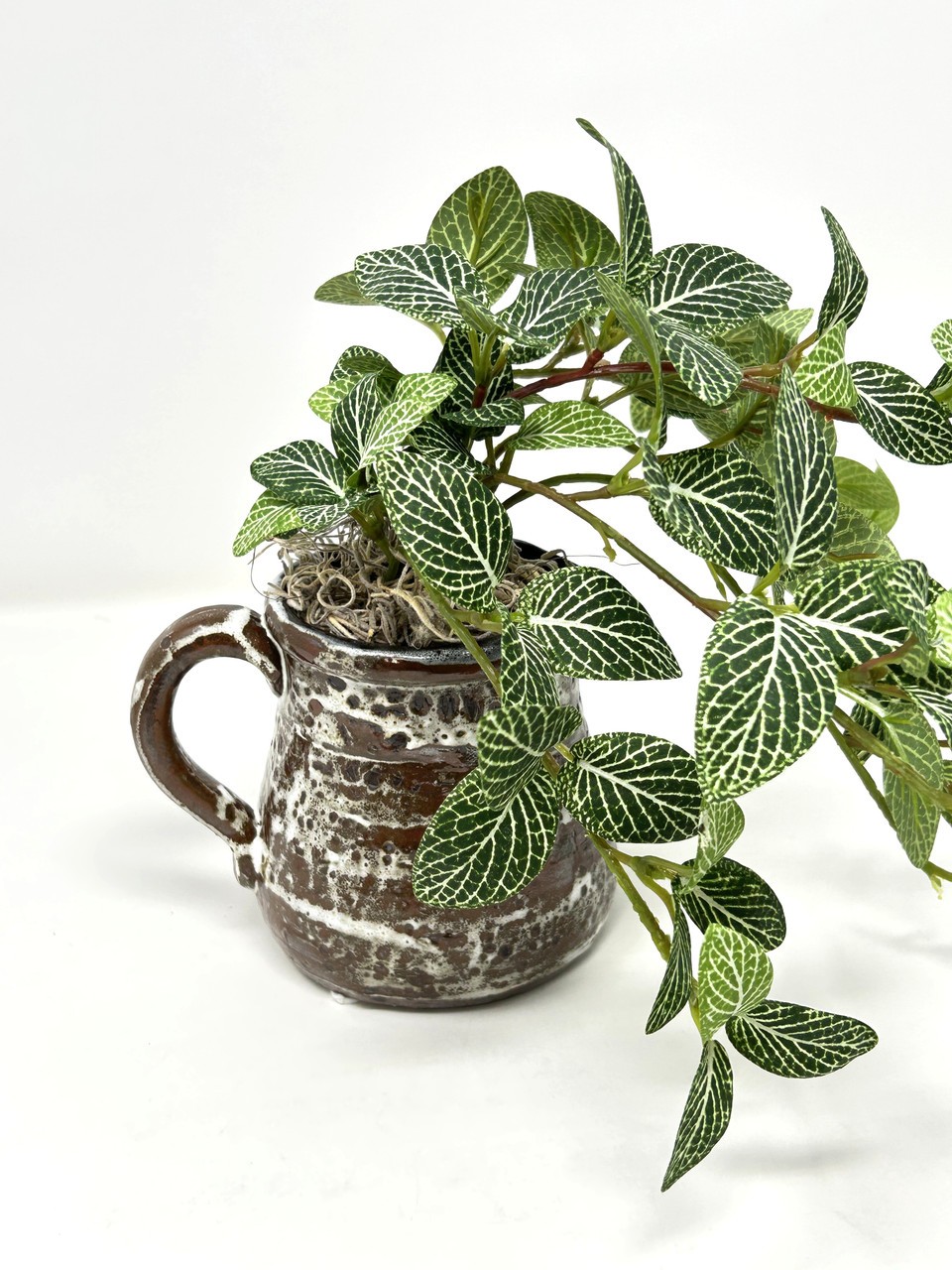 8″ Small Artificial GREEN FITTONIA NERVE faux Silk plant potted in brown Ceramic
