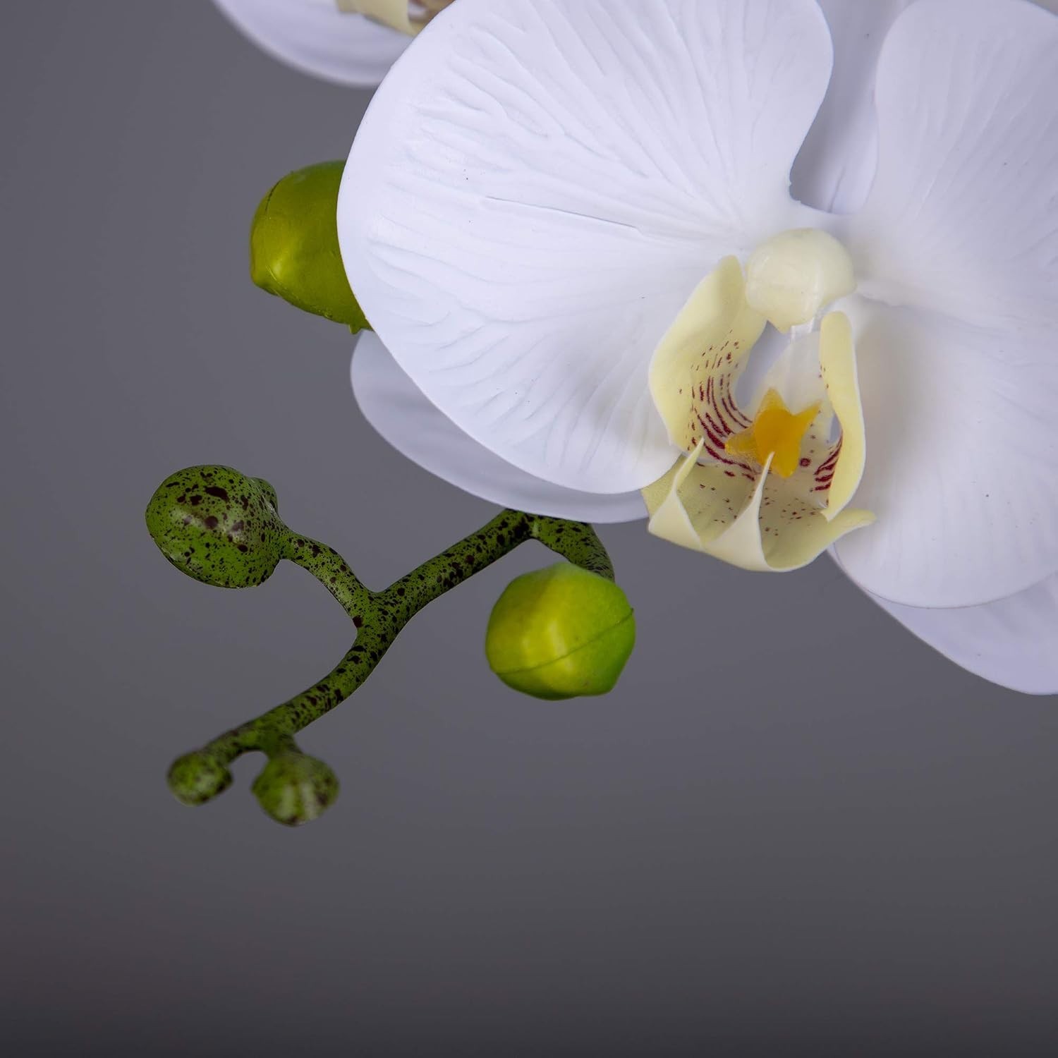 Stunning 2pcs Large White Orchid Stems – Realistic Touch for Weddings & Offices