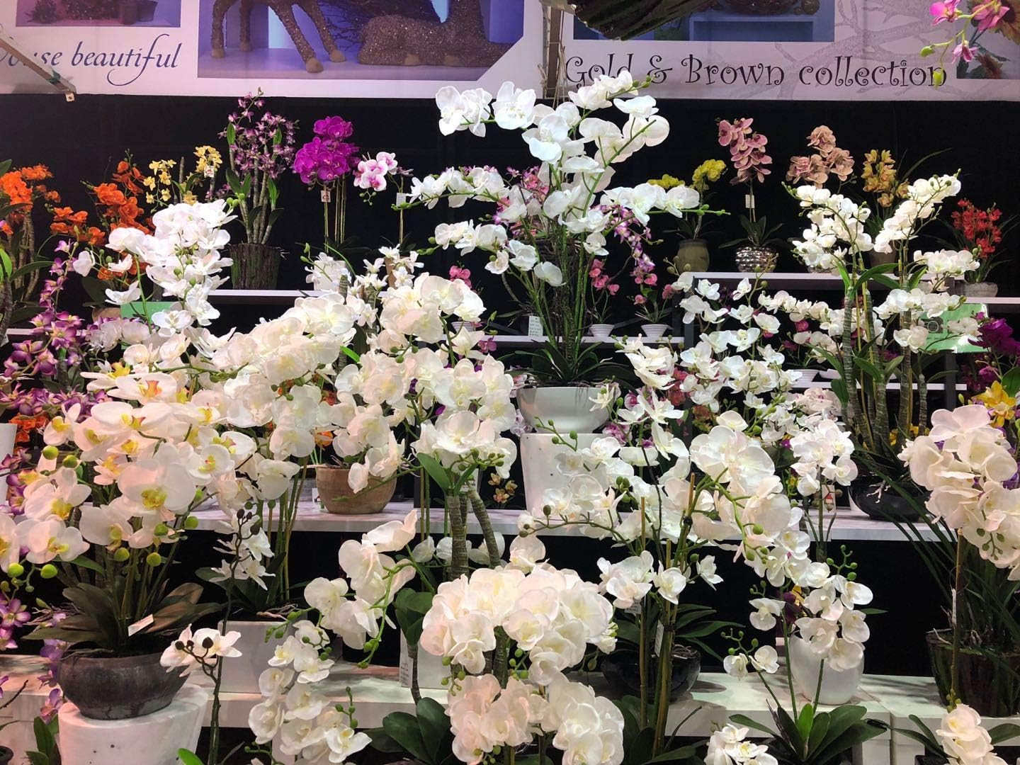 Stunning 2.5′ White Orchid Silk Flower Plant – Elegant Home Decor