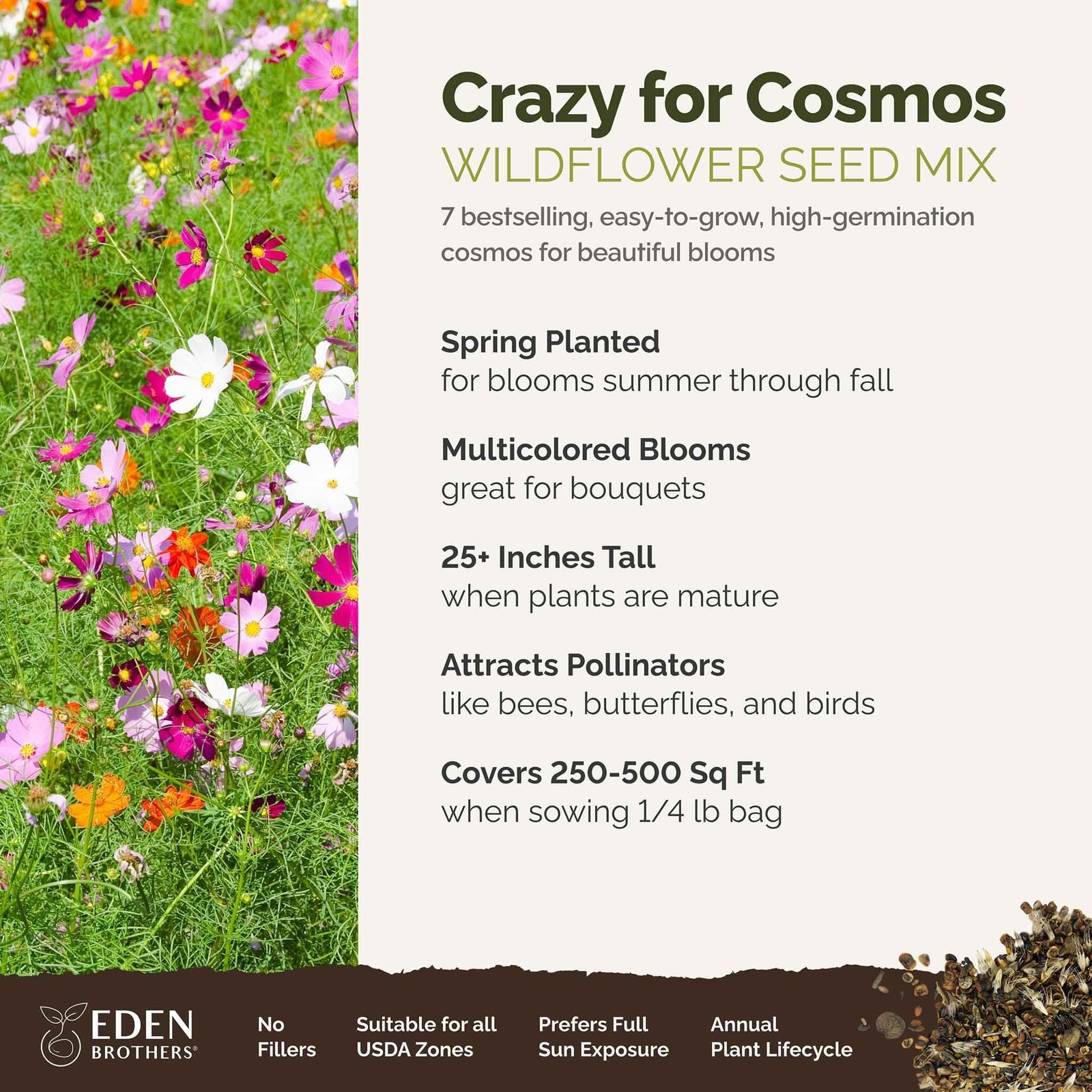 Crazy for Cosmos Flower Mixed Seeds for Planting, 1/4 lb, 120,000+ Seeds with…