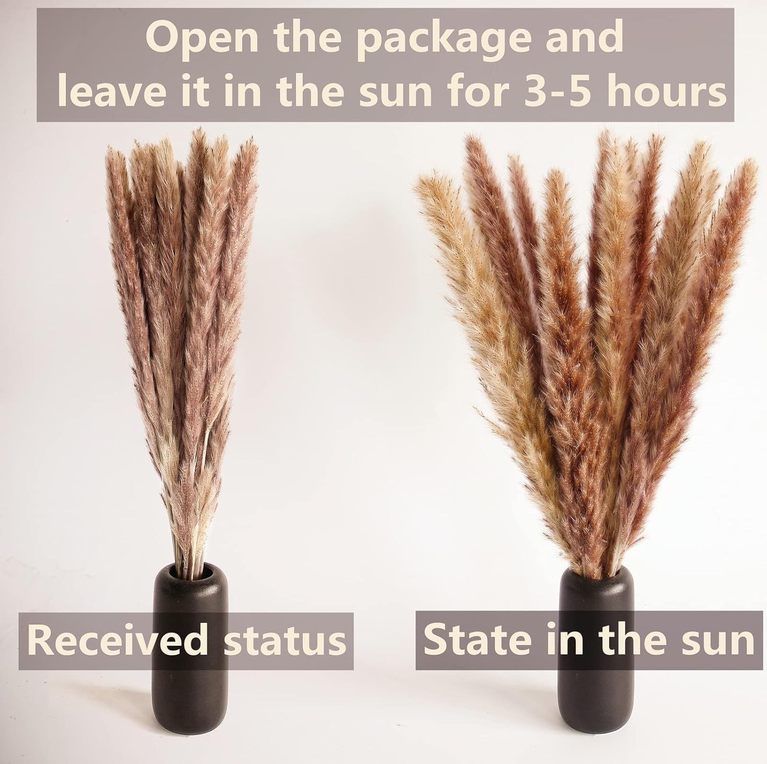 100 PCS Small Boho Pampas Grass, 17″ Naturally Dried Pompas, Pampas Grass Dec…