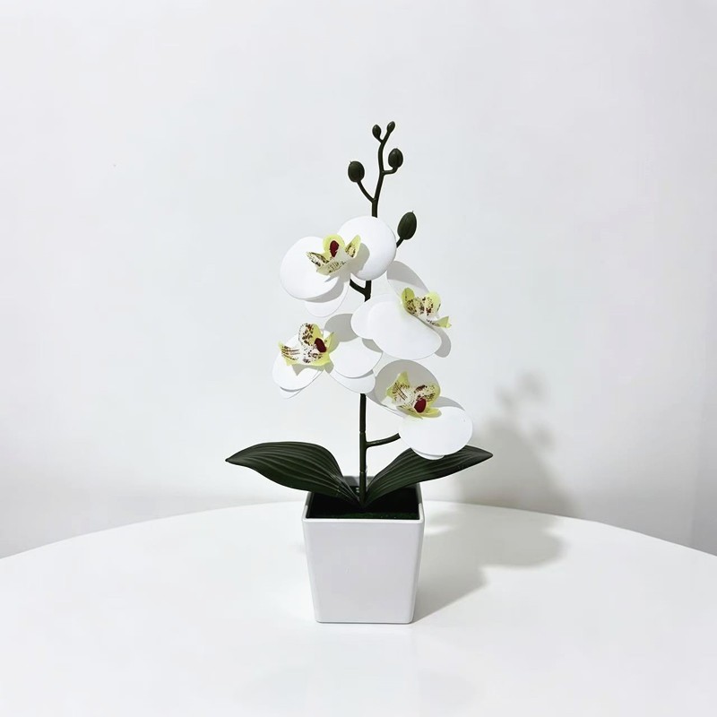4-Bloom Faux Phalaenopsis Orchid in Trendy White Square Pot for Any Room
