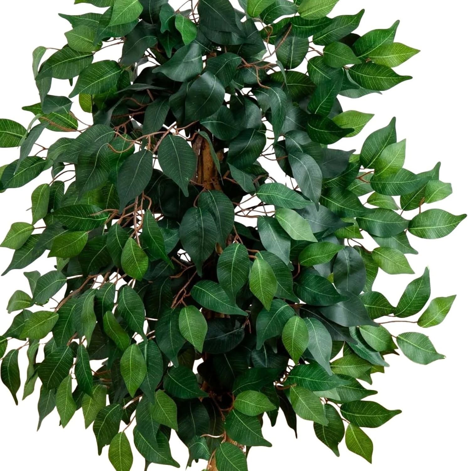 Elegant 36in Ficus Tree with 378 Leaves – A Touch of Green for Every Home