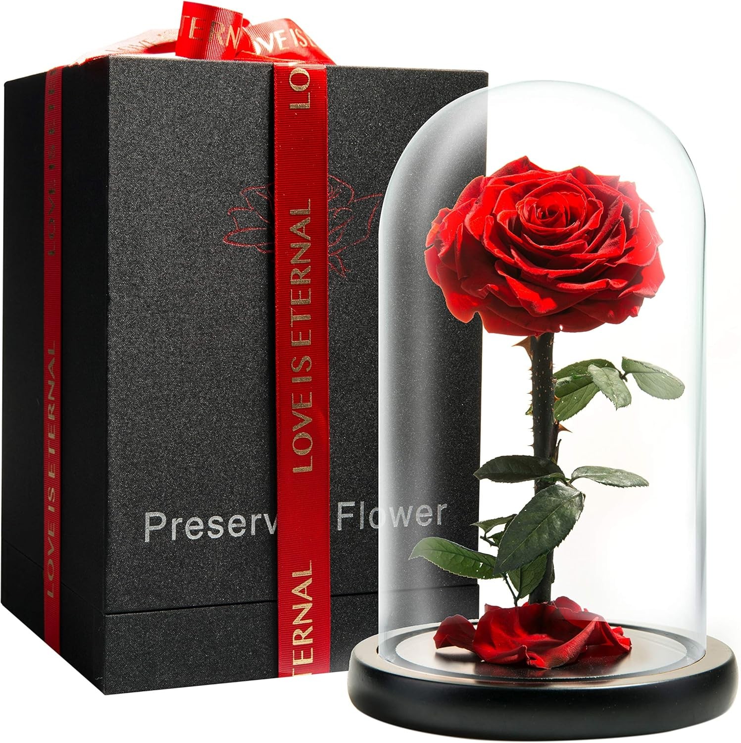 Forever Preserved Rose-Eternal Rose in Glass Dome-Beauty and The Beast for