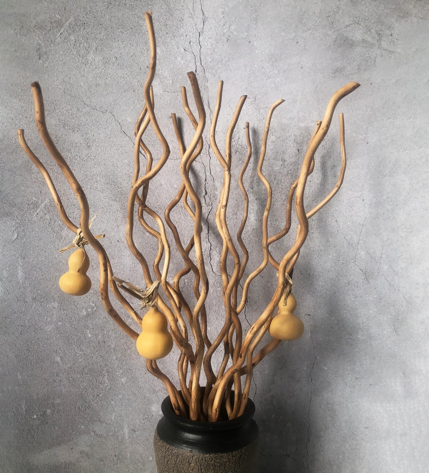 Dried Curly Willow Branches, 14-15 Stems Dried Twigs Sticks 21-23” Natural Dr…