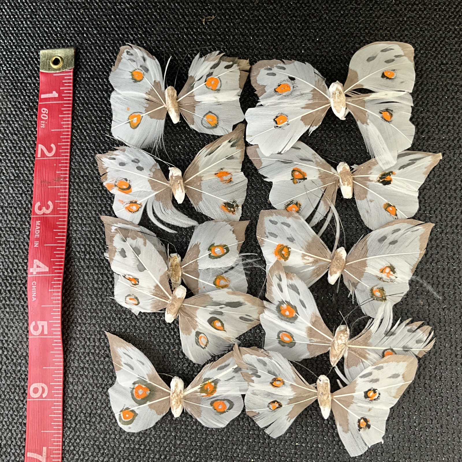 The Butterflies For Craft or Decoration