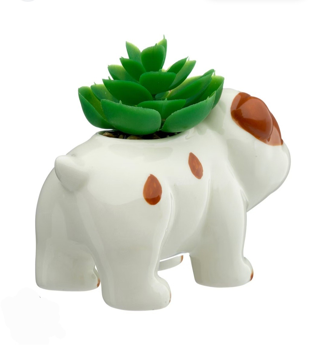 Old East Main Co. High Quality Animal Shape Planters With Lifelike Succulent