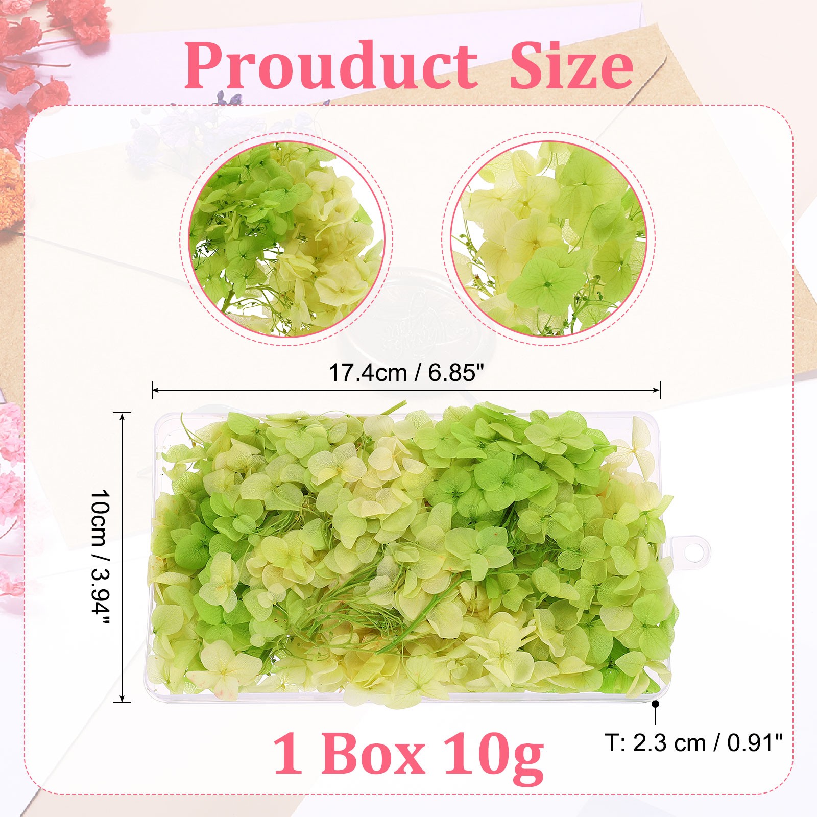 10g Mini Dried Hydrangea Flower Natural Pressed Flower Gradient Green Yellow