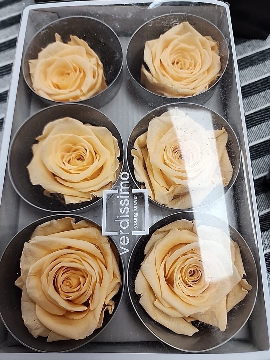 Preserved Rose in a Box Real Rose Flower for Birthday Gifts