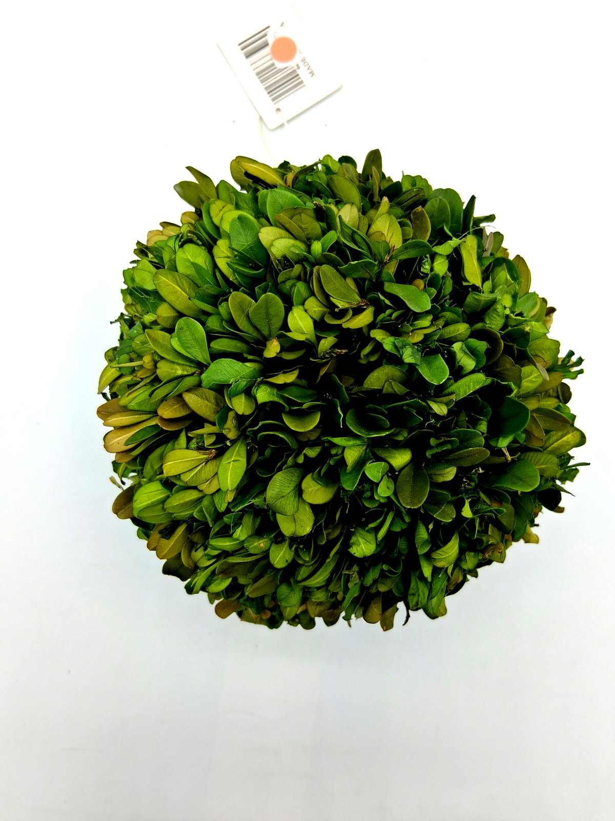 Decorative Permanent Botanicall Boxwood 7-inch Topiary Ball
