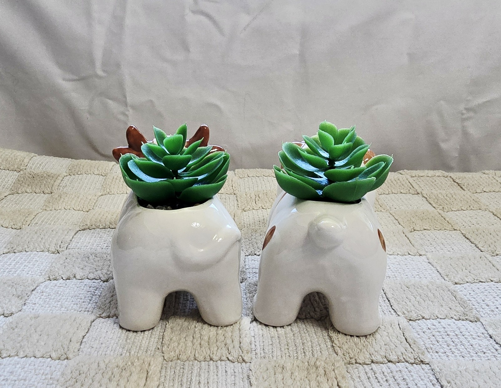 Old East Main Co. High Quality Animal Shape Planters With Lifelike Succulent