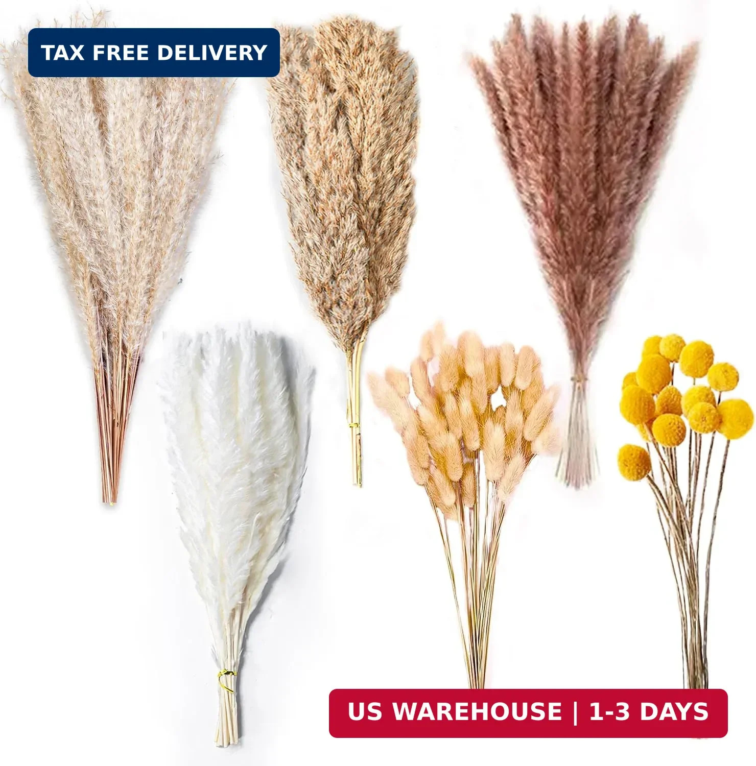 100PCS Natural Dried Pampas Grass Decor – 17.5″ Fluffy Pampas Grass Bouquet – Bo