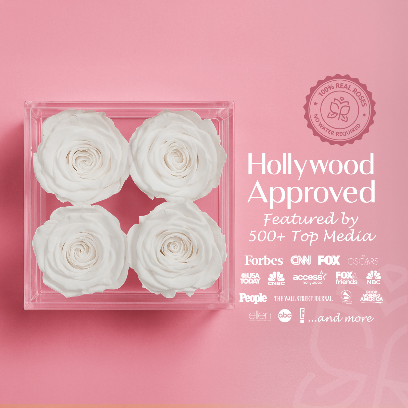 Speaking Roses Preserved Roses in Equoria V4 Display | “Happy New Year” Message
