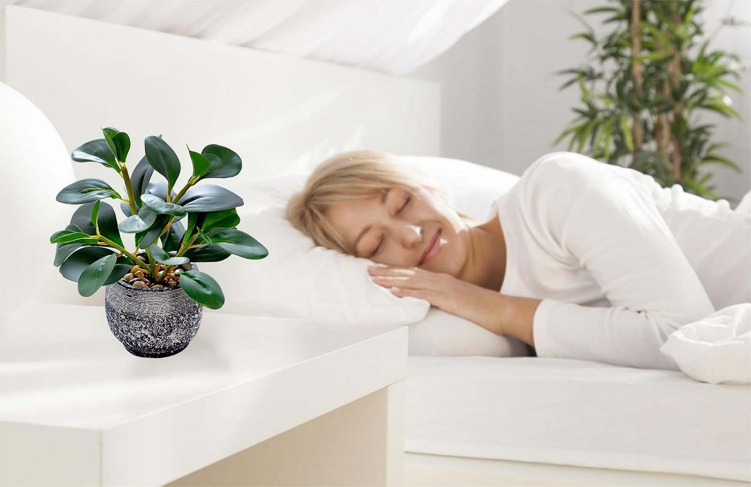 Artificial Plants Potted Real Looking Small Faux Plant with Rustic Black Cement