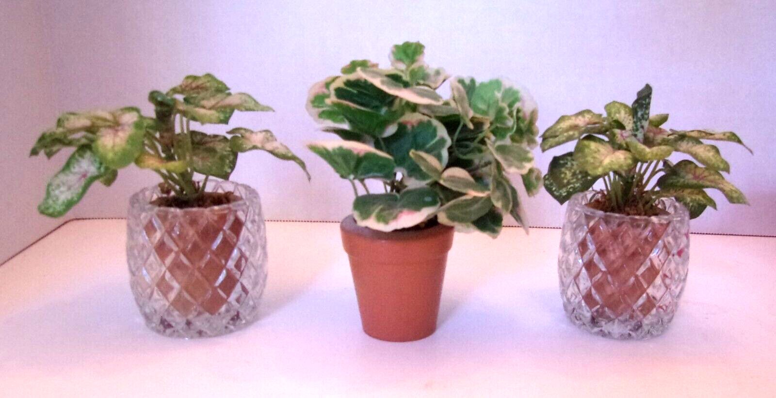 (2) Faux Coleus and (1) Geranium In Wood (Terracotta) Pots w/2 Glass Votives