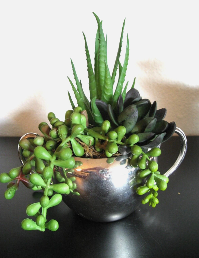 House Plant – Home Decor, Nice, Beautiful, Faux, Fake Sedum MCM Containers