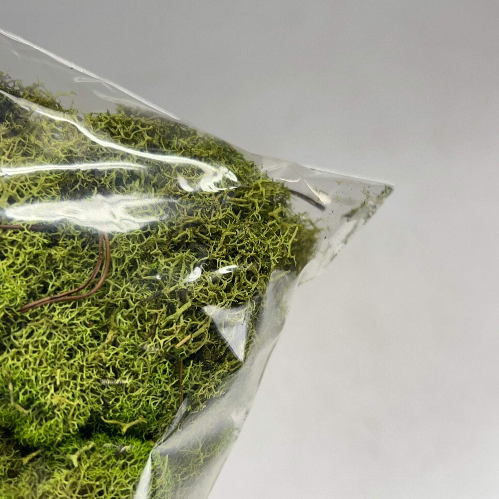 ASHLAND (6 PACK, 108.5 In³ Each) Naturals Reindeer Preserved Moss Green 284153