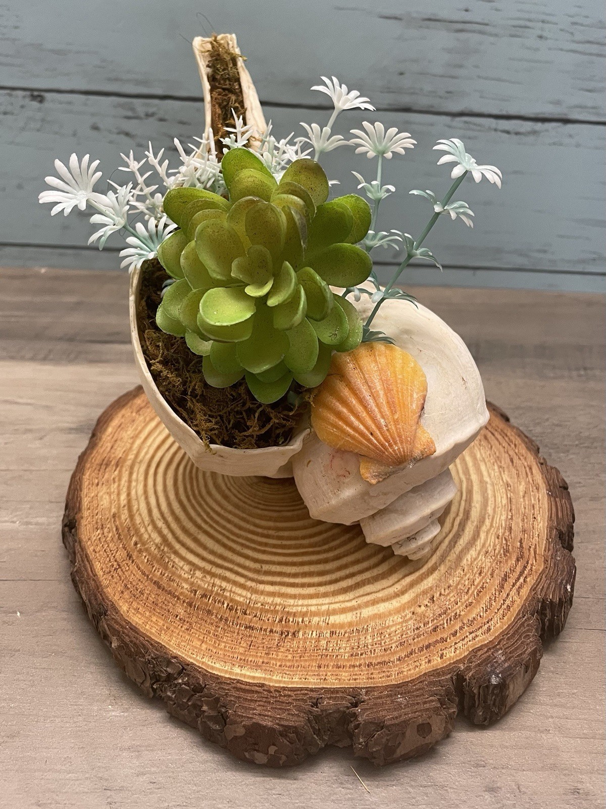 Artificial Coastal Succulent & Seashell Floral Centerpiece Multicolor